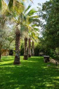 Κήπος έξω από το Agriturismo Santa Lucia