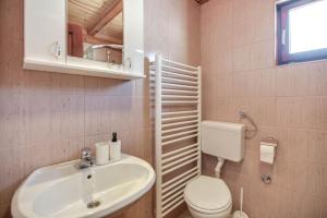 a bathroom with a sink and a toilet and a mirror at Vila Sofija Tornik in Ribnica +47 photos