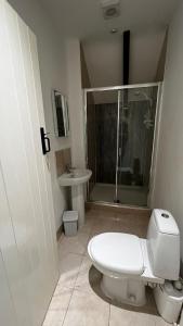 a bathroom with a toilet and a shower and a sink at Spacious 4 Bedroom Farmhouse in Pembrokeshire