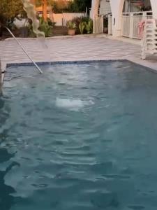 una piscina de agua azul en un patio en Curacao Cozy Apartment, en Willemstad