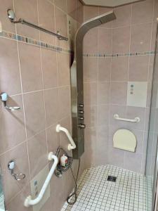 a bathroom with a shower with a sink and a toilet at Grand appartement 2 chambres 5 pers max, vue panoramique avec parking in Mulhouse