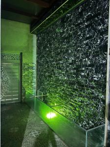 een kamer met een groene muur met een plant bij Villa Nador in Nador