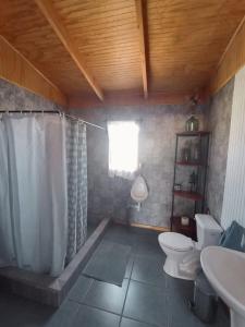 a bathroom with a toilet and a sink at Parcela Sant Llorenç in Cabrero