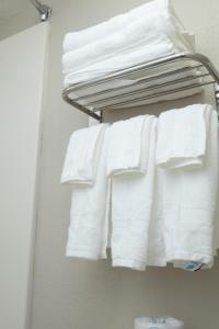 een groep witte handdoeken op een rek in een badkamer bij AmericInn by Wyndham Madison WI in Madison