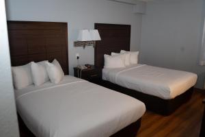 2 Betten in einem Hotelzimmer mit weißer Bettwäsche in der Unterkunft AmericInn by Wyndham Madison WI in Madison