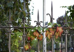 Giardino di Boutique-Hotel Auberge Langenthal