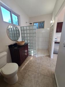 a bathroom with a toilet and a shower with a mirror at Pool House with Shared Pool Access in David