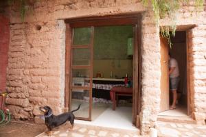 a dog standing in front of a door with a man at Departamento Inti Raymi in Tilcara