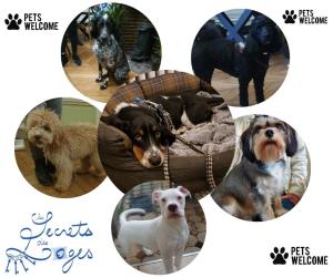 a collage of photos of different types of dogs at B & B Les Secrets des Loges in Calais