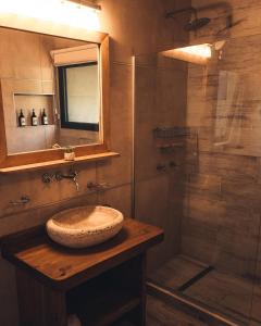 ein Bad mit einem Waschbecken und einer Dusche in der Unterkunft Rotui Exclusive Apartment in San Martín de los Andes