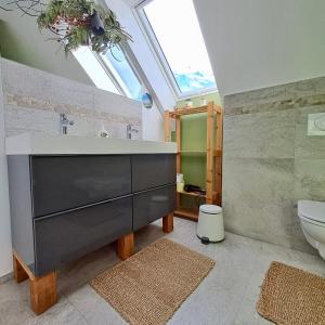 a bathroom with a sink and a toilet and a skylight at Entire Loft close to Beautiful Logar Valley in Rečica ob Savinji
