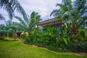 Palm Pran Resort外面的花园