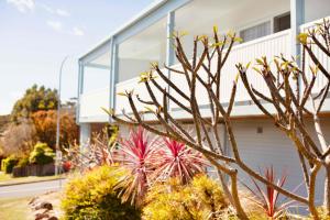 Mollymook Motel في موليموك: منزل أمامه نوافذ زجاجية ونباتات