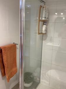 W łazience znajduje się prysznic ze szklanymi drzwiami. w obiekcie The Cosy Bungalow w mieście Portarlington