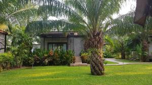 Palm Pran Resort外面的花园
