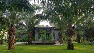 Palm Pran Resort外面的花园