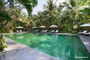- une piscine avec des chaises, des parasols et des palmiers dans l'établissement Cham Villas Resort, à Mui Ne
