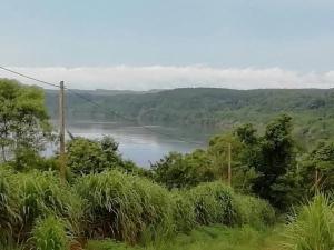Blick auf einen Fluss von einem Hügel aus in der Unterkunft La Casa de Colores in Garuhapé + 16 Fotos