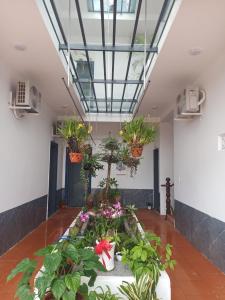 une pièce pleine de plantes dans l'établissement Ha Na Đức Linh, 