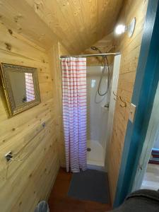 a small bathroom with a shower and a tub at Cabines Boréales in Rimouski