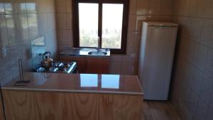 a kitchen with a counter and a sink and a refrigerator at Cabaña pullay in Cobquecura