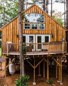 a wooden cabin in the woods with a tree at SkyView treehouse in Belgrade