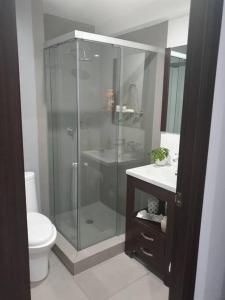 uma casa de banho com uma cabina de duche em vidro e um WC. em Suite Boutique Ejecutivo Mexico em Cidade do México