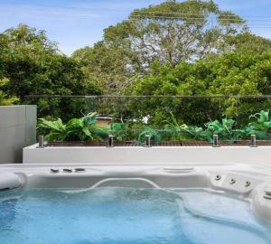 a swimming pool with a view of a garden at Sunshine Beach Gem in Sunshine Beach