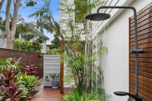 a courtyard with palm trees and plants in a house at Sunshine Beach Gem in Sunshine Beach