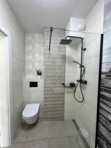 a bathroom with a toilet and a shower at Apartament MotłEwa in Gdańsk