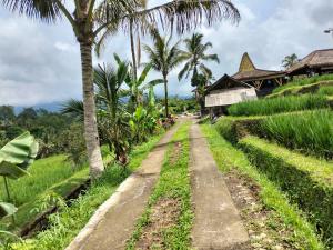 a dirt road in a field with palm trees at Magical Breeze Cabin in Angsri