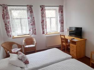 TV a/nebo společenská místnost v ubytování Hotel Střelnice