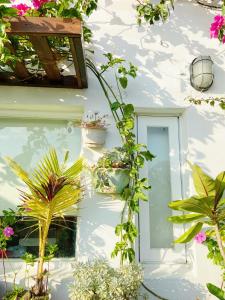 Giardino di 南鴻雅築South Home