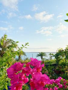 Paesaggio naturale nelle vicinanze della stanza in casa privata