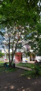 a park with benches and a tree in front of a building at Lily Pearls Inn in K'obulet'i