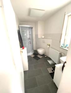 een badkamer met een wastafel en een toilet in een kamer bij Mina's Villages in Ötigheim