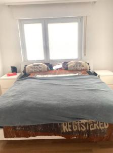 een bed in een slaapkamer met 2 ramen bij Mina's Villages in Ötigheim