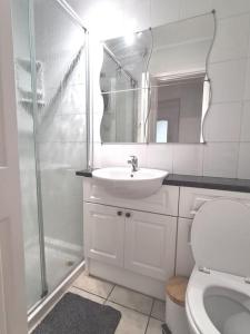 y baño con aseo, lavabo y ducha. en Cosy Self Contained Annexe en Bodmin