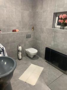 bagno con servizi igienici e lavandino di Beautiful and cozy apartment a Zagabria