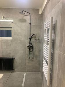 bagno con doccia e porta in vetro di Beautiful and cozy apartment a Zagabria