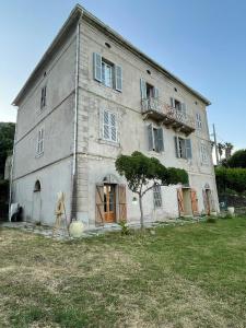 an old building with a tree in front of it at Maison d'Americains Lapedina in Pietracorbara