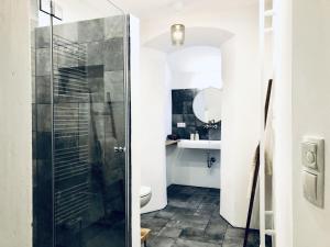 uma casa de banho com um chuveiro e um WC. em kleines Stadthaus em Isny im Allgäu