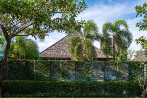 邦濤海灘的住宿－Two Bedroom Wings Pool Villa，棕榈树掩护下的房屋