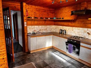 Dapur atau dapur kecil di Snowgoose Apartments & Bunkhouse