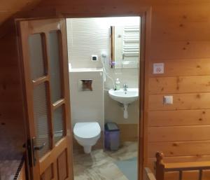 a bathroom with a toilet and a sink at Apartamenty i pokoje gościnne Nowita in Zakopane