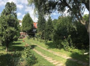 un jardín con una casa en el fondo en studio in vila- natural 22 C ! en Breaza de Sus
