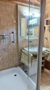 a bathroom with a shower and a sink at Lieblingsplatz, Ferienhaus in Schneverdingen