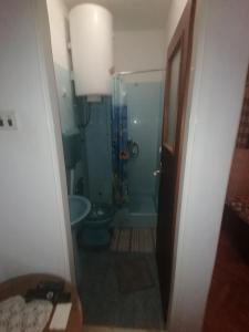a bathroom with a shower and a toilet and a sink at MARINA Apartment end rooms in Vela Luka +22 photos