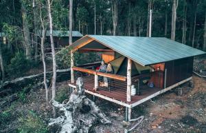 Příroda nedaleko luxury tent