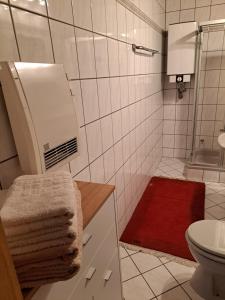 オッテルンドルフにあるFerienwohnung Lefering Stiftungのバスルーム(シャワー、赤い敷物付)